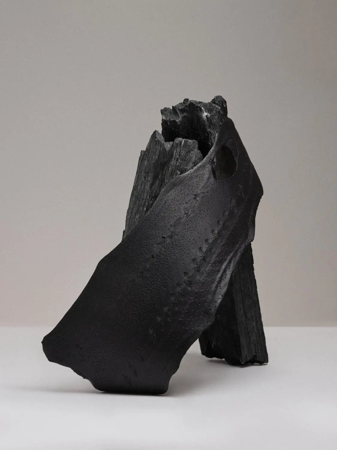 À fleur de peau : De l’esturgeon naissent les étoiles