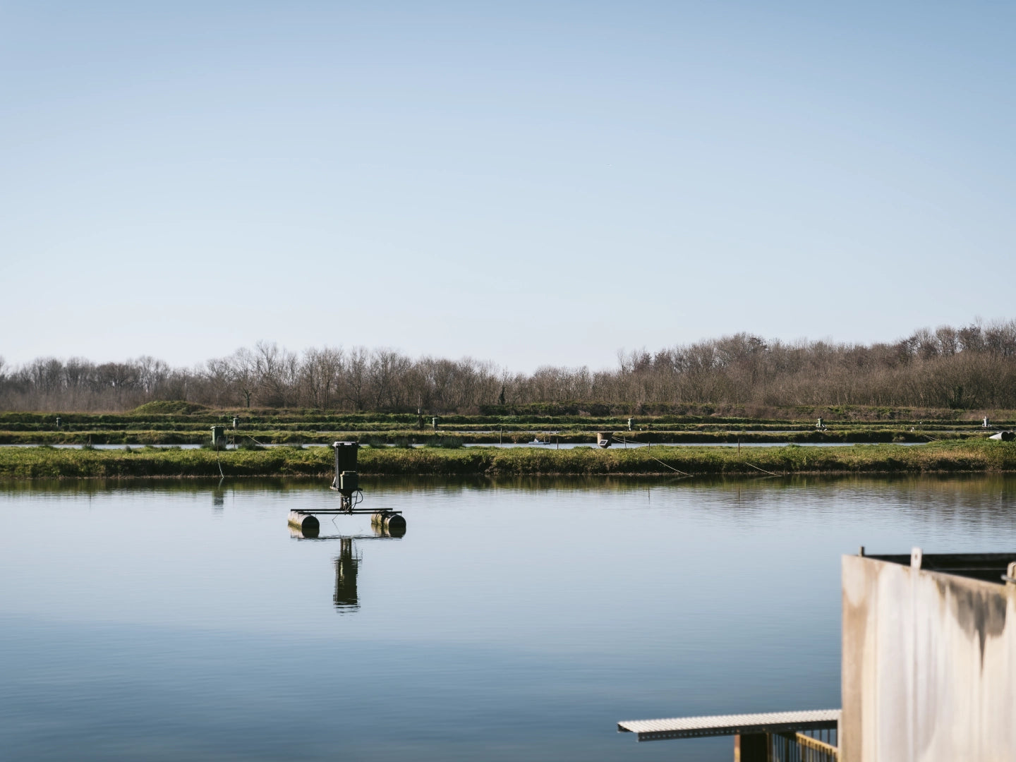 Le caviar d’Aquitaine, nouvelle égérie