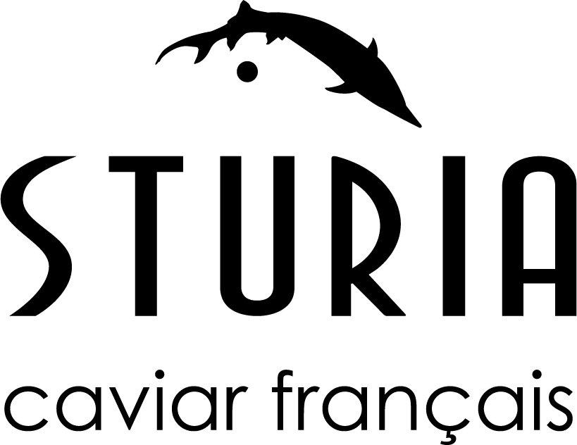 Caviar Sturia